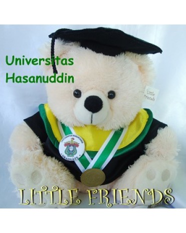 Boneka Wisuda Universitas Hasanuddin - Kesehatan (30 cm)